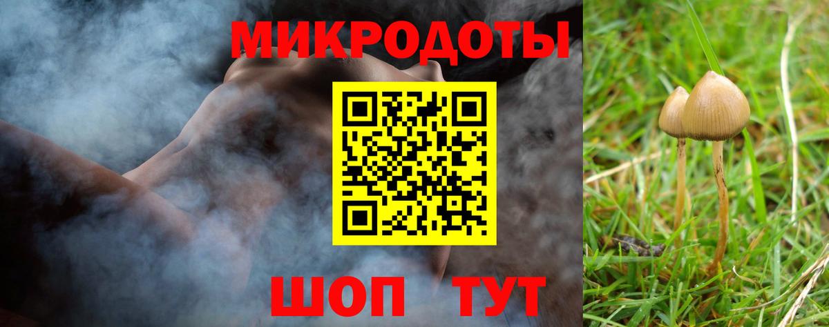 Псилоцибиновые грибы Magic Shrooms Рубцовск